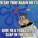 Sandy Cheeks Peeved Meme Generator - Imgflip