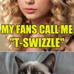 Hi. I'm Taylor. Nice to meet you... | "T-SWIZZLE" NO MY FANS CALL ME | image tagged in taylor swift,grumpy cat | made w/ Imgflip meme maker