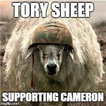 Sheep soilder | TORY SHEEP SUPPORTING CAMERON | image tagged in sheep soilder | made w/ Imgflip meme maker