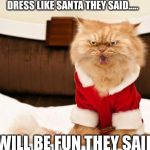 Angry Cat | DRESS LIKE SANTA THEY SAID..... IT WILL BE FUN THEY SAID.... | image tagged in angry cat | made w/ Imgflip meme maker