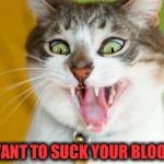 Dracula's cat  | I VANT TO SUCK YOUR BLOOD! | image tagged in vampire cat,dracula's cat | made w/ Imgflip meme maker