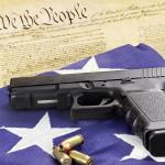 gun constitution