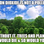 trees | CARBON DIOXIDE IS NOT A POLLUTANT WITHOUT IT, TREES AND PLANTS WOULD DIE & SO WOULD YOU | image tagged in trees | made w/ Imgflip meme maker