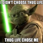 Angry Yoda | I DIDN'T CHOOSE THUG LIFE THUG LIFE CHOSE ME | image tagged in angry yoda | made w/ Imgflip meme maker