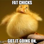 I'm not fat, I'm fluffy. | FAT CHICKS GOT IT GOING ON. | image tagged in fat chick,memes,animals,funny,chick,chicken | made w/ Imgflip meme maker