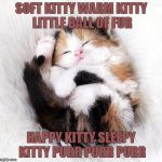 Soft kitty | SOFT KITTY WARM KITTY LITTLE BALL OF FUR HAPPY KITTY SLEEPY KITTY PURR PURR PURR | image tagged in soft kitty | made w/ Imgflip meme maker