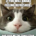Hello Kitty Cat | AT THE COUNT OF 3, YOU WILL AWAKE FEELING REFRESHED... AND FEED ME THE TUNA STEAK IN THE REFRIGERATOR. | image tagged in hello kitty cat | made w/ Imgflip meme maker