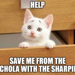 Concerned Kitty | HELP SAVE ME FROM THE CHOLA WITH THE SHARPIE | image tagged in kitty | made w/ Imgflip meme maker