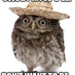 sombrero owl | OWL BY MYSE-E-ELF DON'T WANT TO BE... | image tagged in sombrero owl,owl,music | made w/ Imgflip meme maker