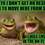 bad joke frog | I TELL YA I DON'T GET NO RESPECT... I HAD TO MOVE HERE FROM SYRIA, I WAS LIVING IN THE NO-FLY ZONE | image tagged in two happy frogs,animals,memes,funny,frog | made w/ Imgflip meme maker