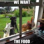 food | WE WANT THE FOOD | image tagged in food | made w/ Imgflip meme maker