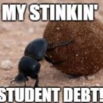 dung beetle | MY STINKIN' STUDENT DEBT! | image tagged in dung beetle | made w/ Imgflip meme maker