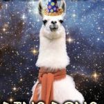 Happy Birthday Alpaca | LAMA LAMA DING DONG | image tagged in happy birthday alpaca | made w/ Imgflip meme maker