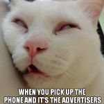 Bored Kitty | WHEN YOU PICK UP THE PHONE AND IT'S THE ADVERTISERS TRYING TO SELL YOU SOME 'NON FLAMMABLE CHEESECAKE' | image tagged in bored kitty | made w/ Imgflip meme maker