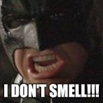 swear to me batman | I DON'T SMELL!!! | image tagged in swear to me batman | made w/ Imgflip meme maker