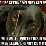 Why do I feel the sudden urge to buy dog treats? | YOU'RE GETTING VEEERRY SLEEEPY YOU WILL UPVOTE THIS MEME THEN LEAVE A FUNNY COMMENT | image tagged in dog hypnotize,hypnodog,funny animals,funny,funny dogs,dogs | made w/ Imgflip meme maker