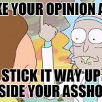 Rick and morty show it | TAKE YOUR OPINION AND STICK IT WAY UP INSIDE YOUR ASSHOLE! | image tagged in rick and morty show it | made w/ Imgflip meme maker