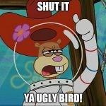 Sandy Cheeks Shut It Ya Ugly Bird! | SHUT IT YA UGLY BIRD! | image tagged in sandy cheeks - tough 2,memes,sandy cheeks,texas girl,spongebob squarepants,ugly bird | made w/ Imgflip meme maker
