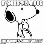 Snoopy Thinking | IF SNOOPY IS A DOG THEN WHO'S SNOOP DOGG? | image tagged in snoopy thinking | made w/ Imgflip meme maker
