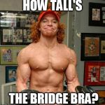 If your friends jumped off a bridge would you jump off too? | HOW TALL'S THE BRIDGE BRA? | image tagged in carrot top lifts,bra,do you even lift | made w/ Imgflip meme maker