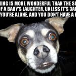 NOTHING IS MORE WONDERFUL THAN THE SOUND OF A BABY'S LAUGHTER, UNLESS IT'S 3AM, AND YOU'RE ALONE, AND YOU DON'T HAVE A BABY. | image tagged in memes,dogs | made w/ Imgflip meme maker