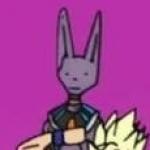 Ditto Beerus