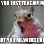 Esquilo | DID YOU JUST TAKE MY NUTS WHAT YOU MEAN DEEZ NUTS | image tagged in esquilo | made w/ Imgflip meme maker