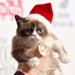 Grumpy Christmas