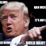 Trumpy | BAN MUSLIMS BAN MEXICANS BUILD MANY WALLS MOAR WOW IT'S NOT A TOUPEE | image tagged in trumpy | made w/ Imgflip meme maker