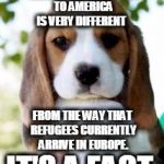 interesting facts  | THE PROCESS OF RELOCATING REFUGEES TO AMERICA IS VERY DIFFERENT IT'S A FACT. FROM THE WAY THAT REFUGEES CURRENTLY ARRIVE IN EUROPE. | image tagged in interesting facts  | made w/ Imgflip meme maker