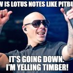 Pitbull | HOW IS LOTUS NOTES LIKE PITBULL? IT'S GOING DOWN. I'M YELLING TIMBER! | image tagged in pitbull | made w/ Imgflip meme maker