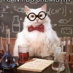 Chemistry Cat 2 | WHEN I HAVE PMS I CAN'T DO CHEMISTRY I OVER REACT | image tagged in chemistry cat 2 | made w/ Imgflip meme maker