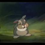 Thumper meme