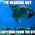 snorkeling Meme Generator - Imgflip
