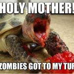 ZOMBIE TURTLE | HOLY MOTHER! THE ZOMBIES GOT TO MY TURTLE! | image tagged in zombie turtle | made w/ Imgflip meme maker