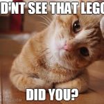 Curious Question Cat | DID'NT SEE THAT LEGO... DID YOU? | image tagged in curious question cat | made w/ Imgflip meme maker