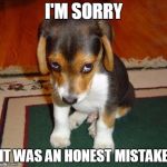ashamed puppy | I'M SORRY IT WAS AN HONEST MISTAKE | image tagged in ashamed puppy | made w/ Imgflip meme maker