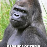 Hot Gorilla  | EVER WONDER WHYA GORILLA'S NOSE HOLES ARE SO BIG? BECAUSE OF THEIR INDEX FINGER! | image tagged in hot gorilla | made w/ Imgflip meme maker