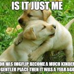 Can you feel the love tonight? | IS IT JUST ME OR HAS IMGFLIP BECOME A MUCH KINDER GENTLER PLACE THEN IT WAS A YEAR AGO | image tagged in puppy i love bro | made w/ Imgflip meme maker