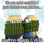 winter minions | It's so cold outside I just farted snowflakes... said no Cajun EVER | image tagged in winter minions | made w/ Imgflip meme maker