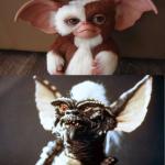 When You Think You're Getting Gizmo But There Stripe In Disguise meme