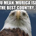 can i haz freedom | YOU MEAN 'MURICA ISN'T THE BEST COUNTRY..? | image tagged in sad american eagle | made w/ Imgflip meme maker
