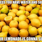 Lemons | UNLESS YOU HAVE WATER AND SUGER YOUR LEMONADE IS GONNA SUCK | image tagged in lemons | made w/ Imgflip meme maker