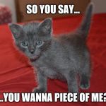 So You Say You Wanna Piece of Me? | SO YOU SAY... ...YOU WANNA PIECE OF ME? | image tagged in russian blue kitten,cat,gray cat,kitten | made w/ Imgflip meme maker