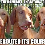 Buck tooth dogs | WOLVES, THE DOMINATE  ANCESTORS OF THE DOG REROUTED ITS COURSE | image tagged in buck tooth dogs | made w/ Imgflip meme maker