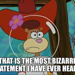 Most Bizarre Statement | THAT IS THE MOST BIZARRE STATEMENT I HAVE EVER HEARD! | image tagged in sandy cheeks,memes,spongebob squarepants,sandy cheeks cowboy hat,mind blown,texas girl | made w/ Imgflip meme maker