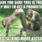 monkeyass | ARE YOU SURE THIS IS THE ONLY WAY TO GET A PROMOTION? LESS TALKING MORE KISSING | image tagged in monkeyass,promotion | made w/ Imgflip meme maker