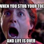 Marty McFly | WHEN YOU STUB YOUR TOE AND LIFE IS OVER | image tagged in marty mcfly | made w/ Imgflip meme maker