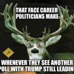 JUST LIKE A DEER IN THE HEADLIGHTS | THAT FACE CAREER POLITICIANS MAKE WHENEVER THEY SEE ANOTHER POLL WITH TRUMP STILL LEADING | image tagged in deer in the headlights,donald trump | made w/ Imgflip meme maker