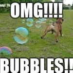 fart dog fart | OMG!!!! BUBBLES!! | image tagged in fart dog fart | made w/ Imgflip meme maker